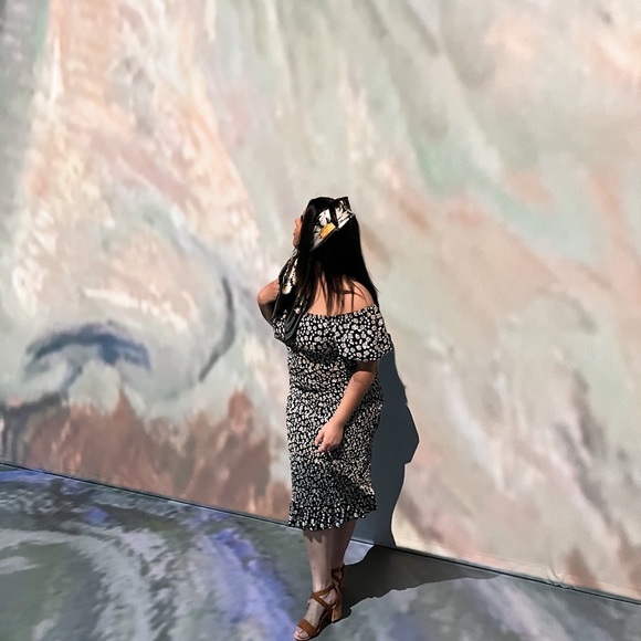 Meet your Posher, Lily - Picture 7 of 12